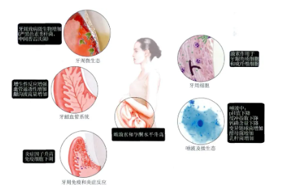 fb2bc795-ddaf-4843-9e1a-69bd4034c1be.png